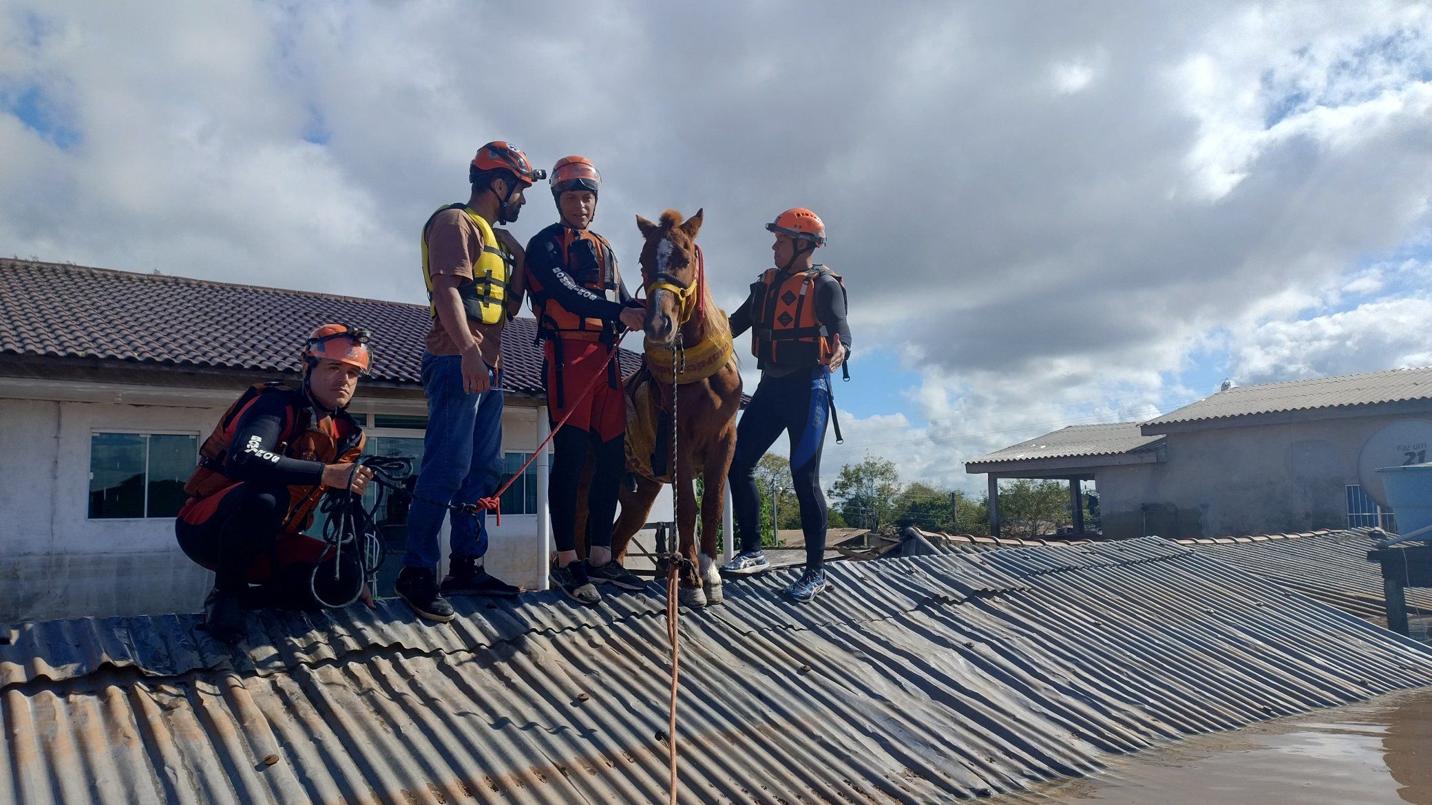 cavalo no telhadom com bombeiros,, RS