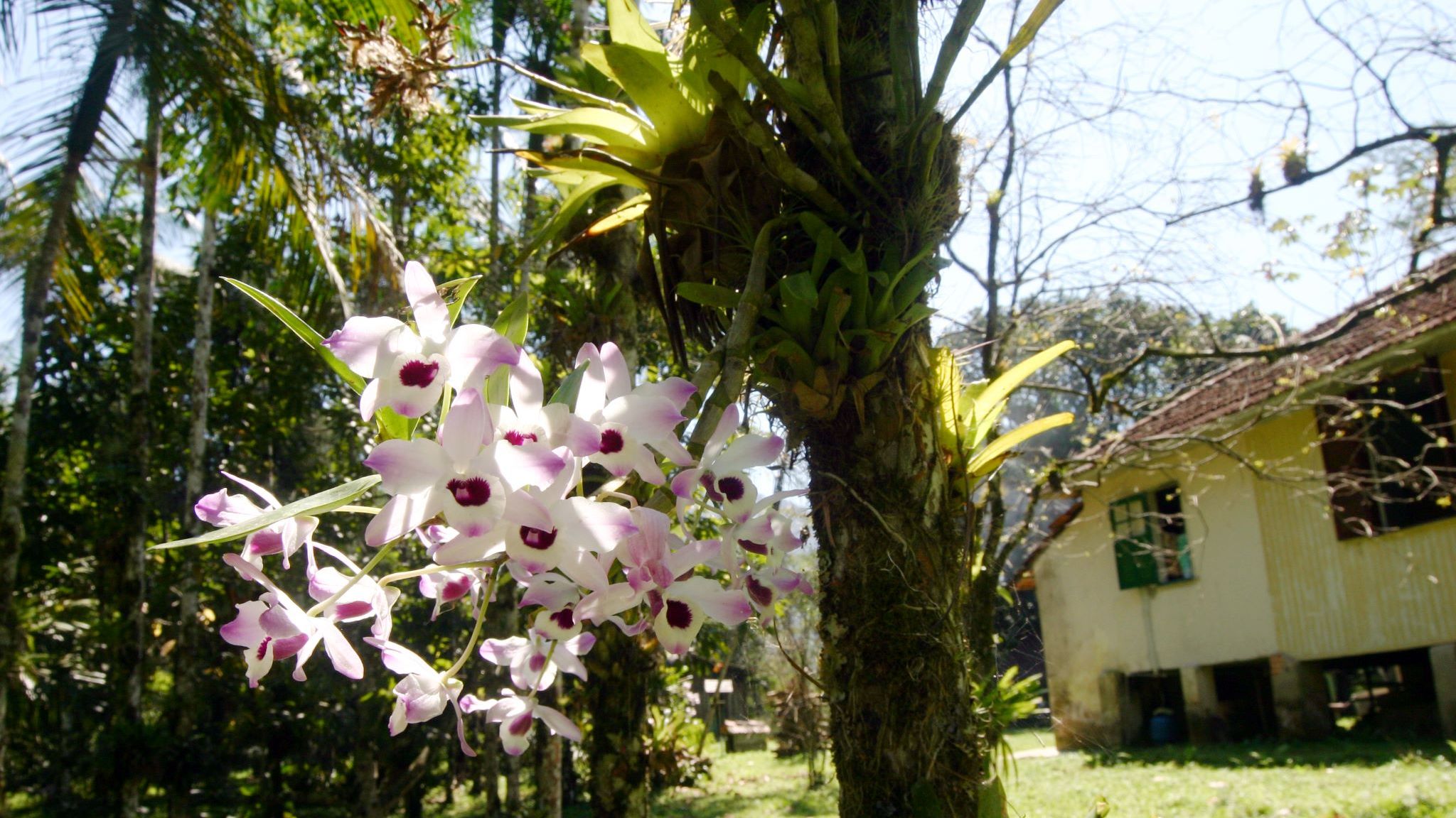 casa no sítio vergara 