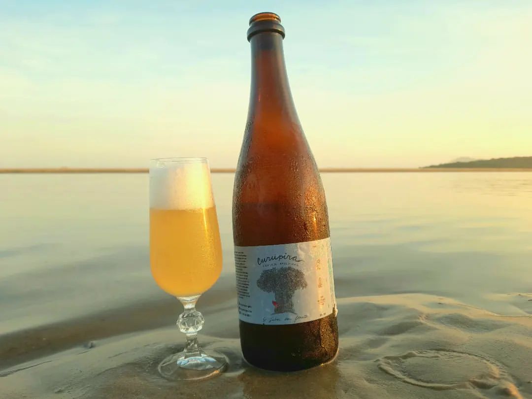 Cerveja artesanal