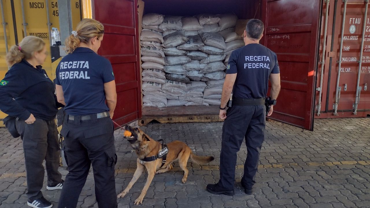 Cão farejador Receita Federal