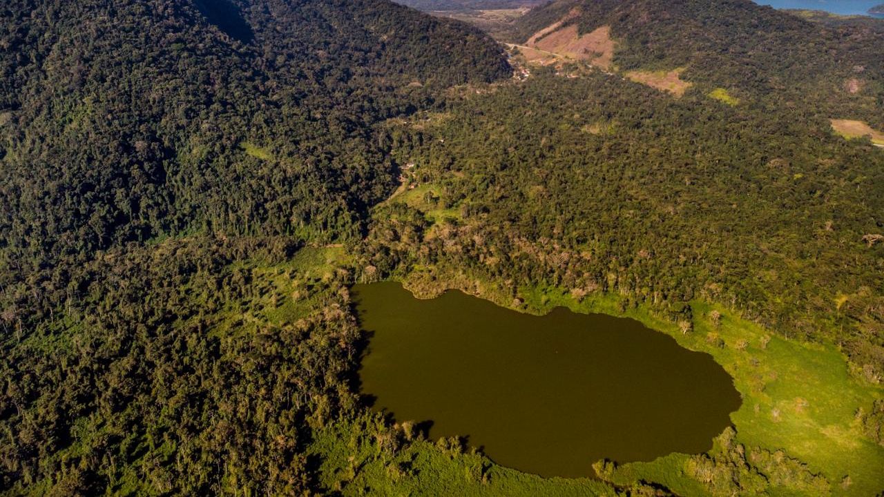 Lago