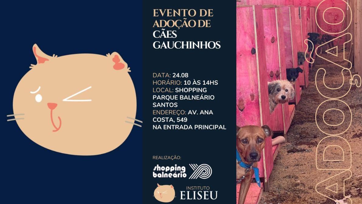 Cartaz do evento