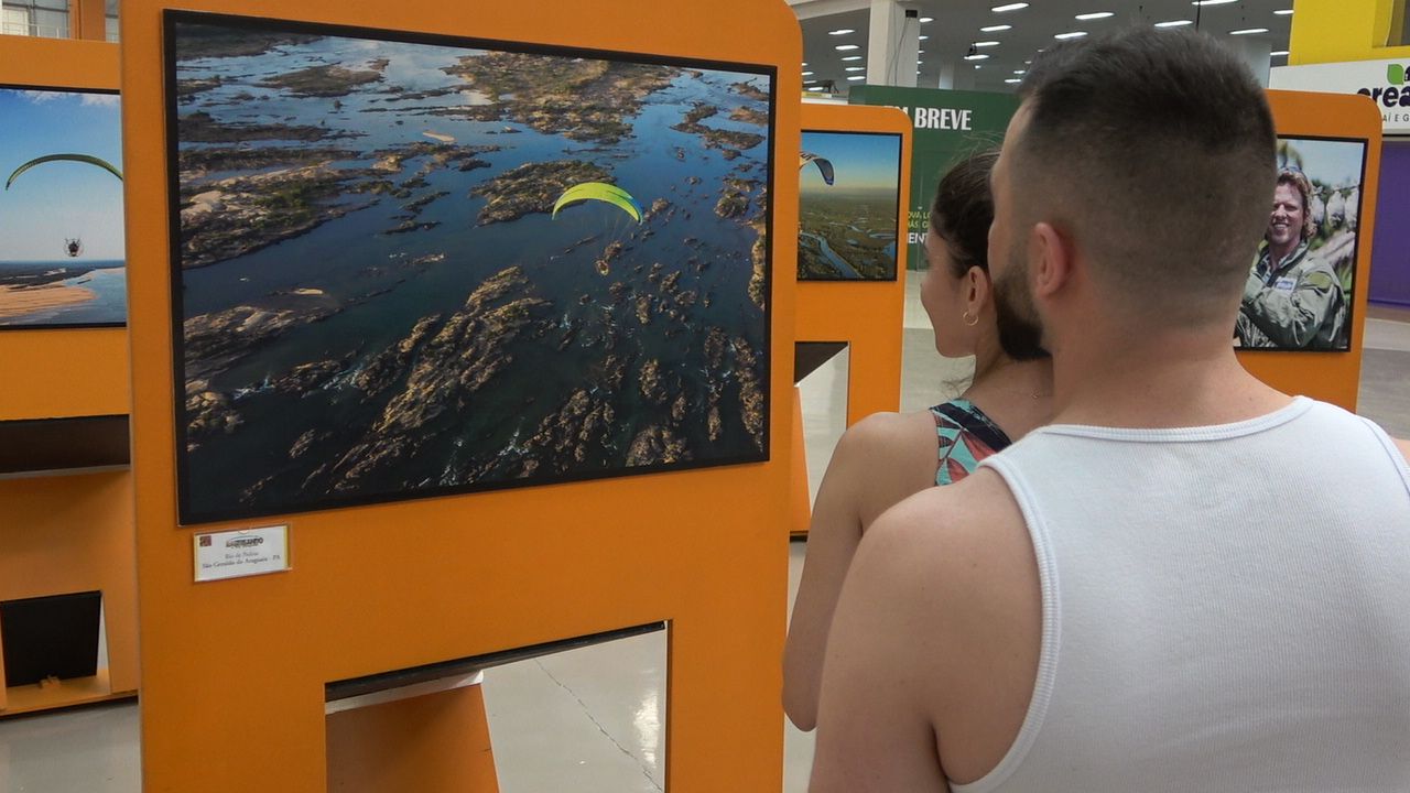 Exposição