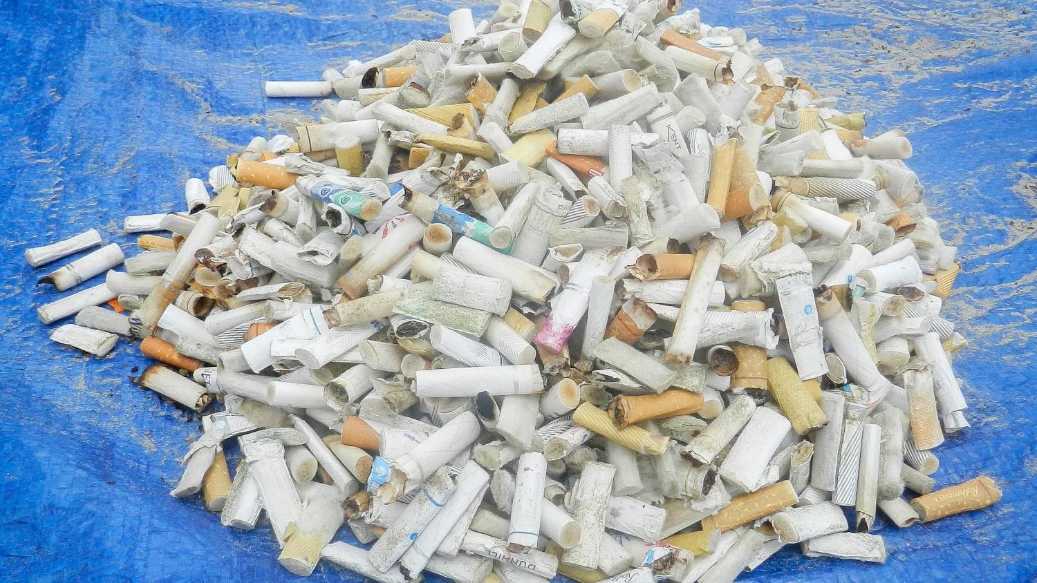 bitucas de cigarro