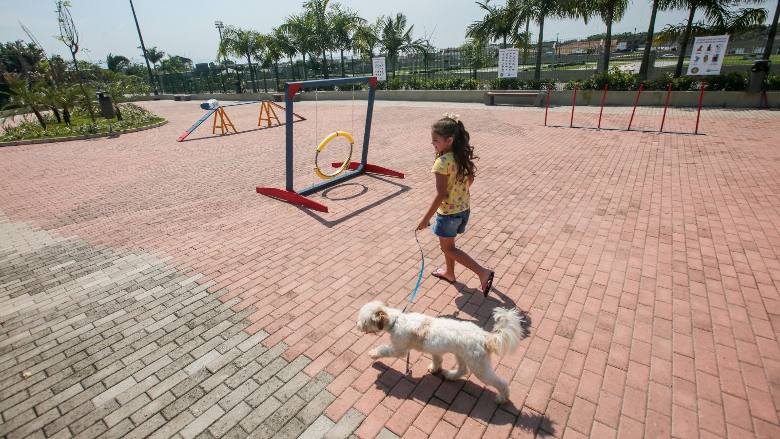 Dog Park PG