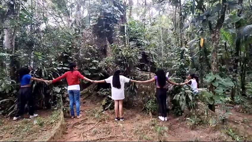 Dia da Arvore 