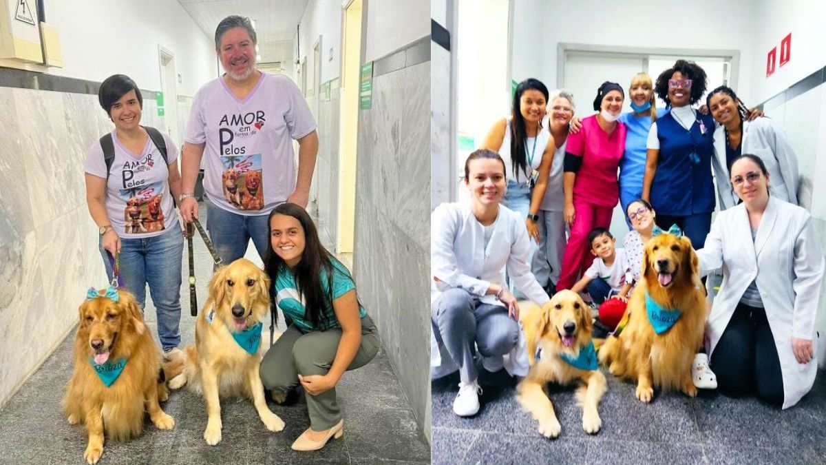 Cães em UPA de Praia Grande