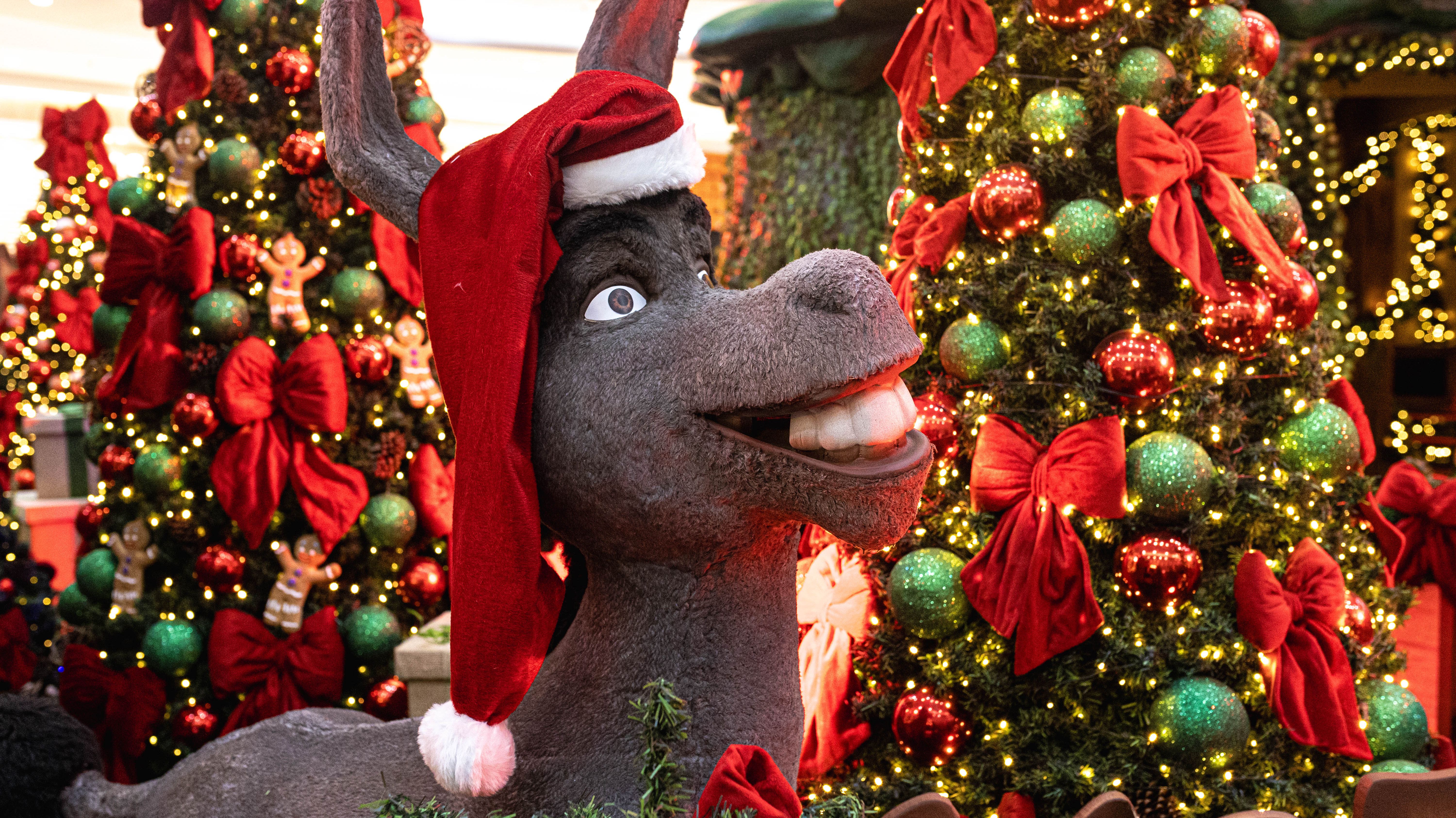 Burro do Shrek