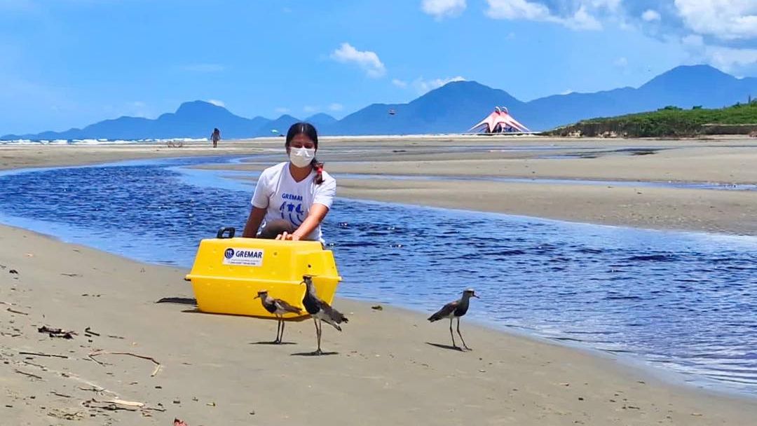 Cras resgatou, tratou e devolveu à natureza 22 aves, 48 mamíferos e um réptil - Divulgação/Gremar