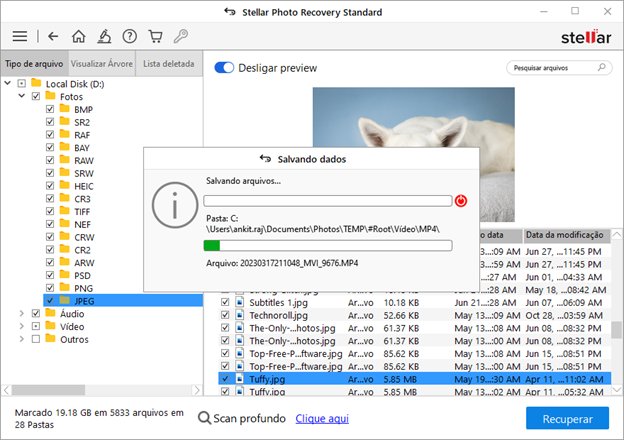Stellar Data Recovery
