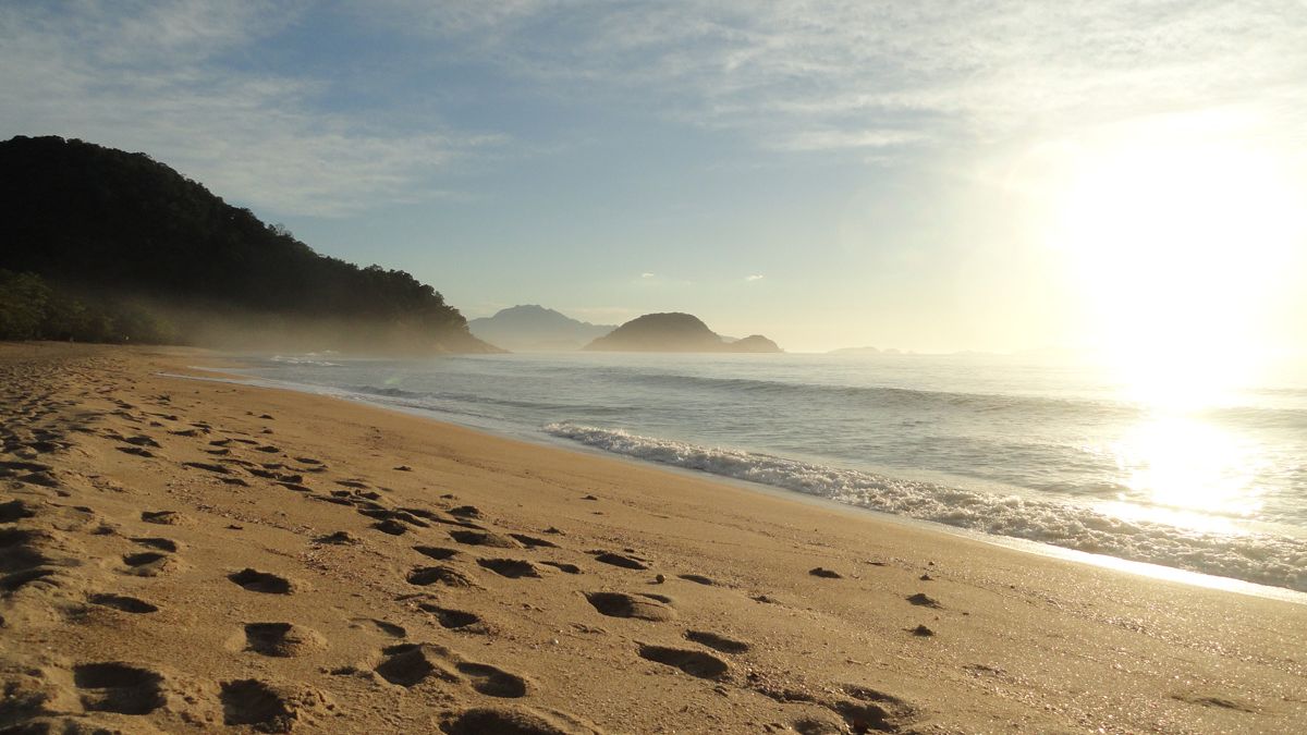 Praia do Félix em Ubatuba