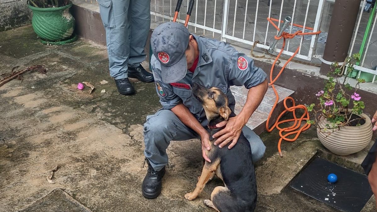 Corpo de Bombeiros foram acionados para fazer o resgate - Divulgação/11ºGB
