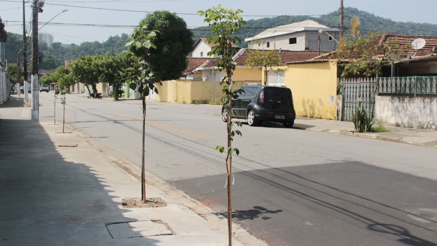 Árvores em Santos