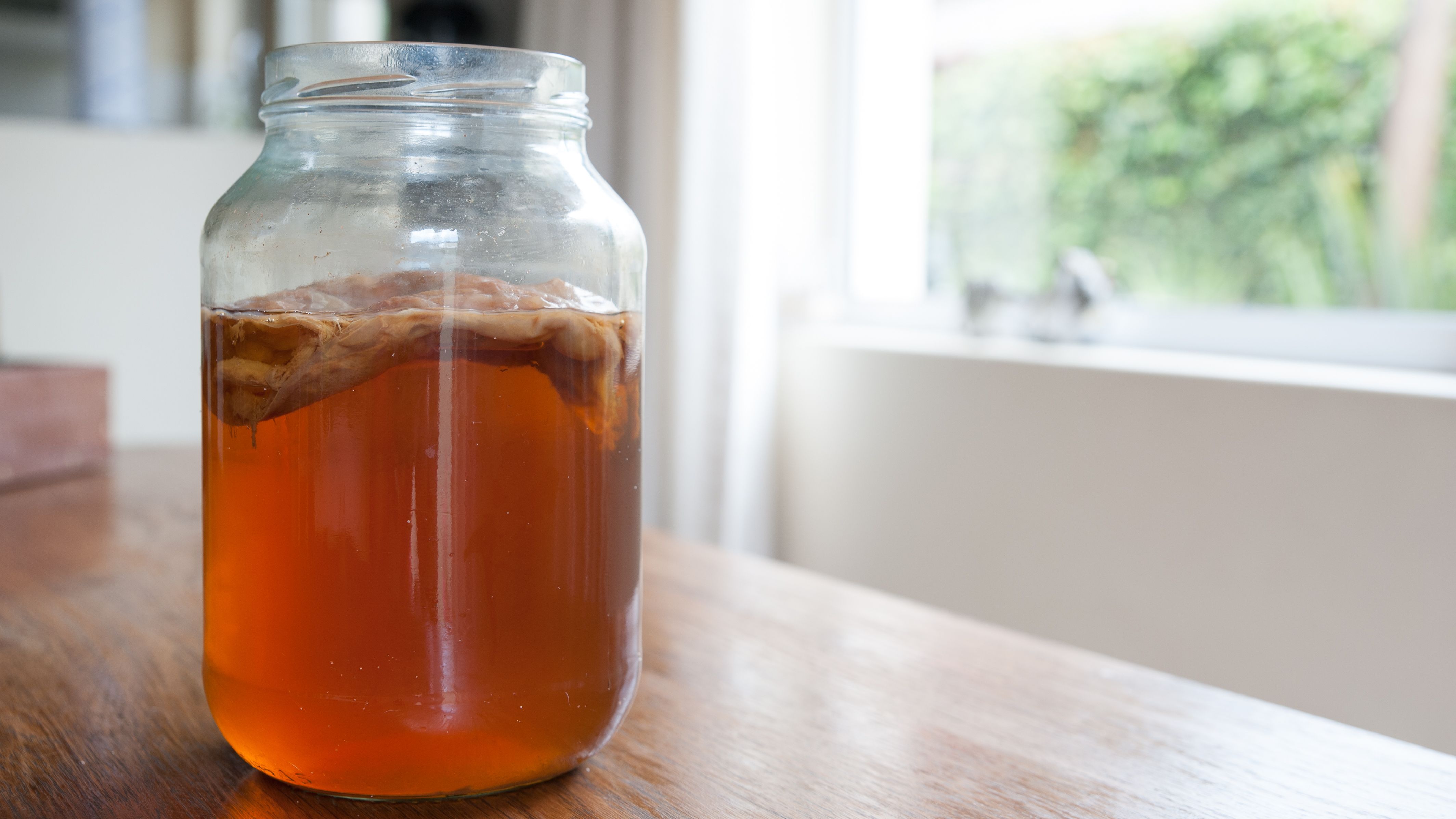 kombucha