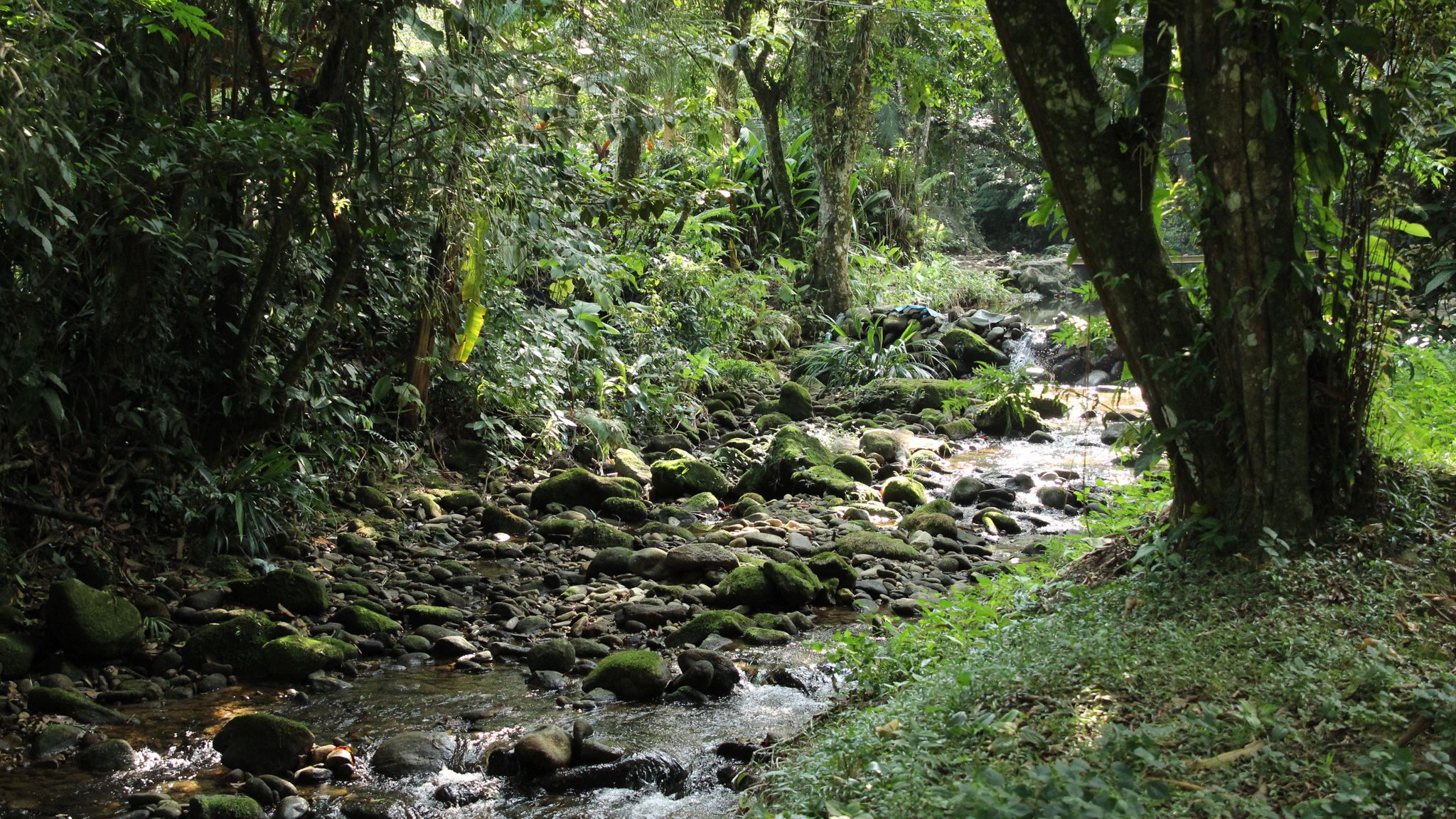 Cachoeira em São Vicente