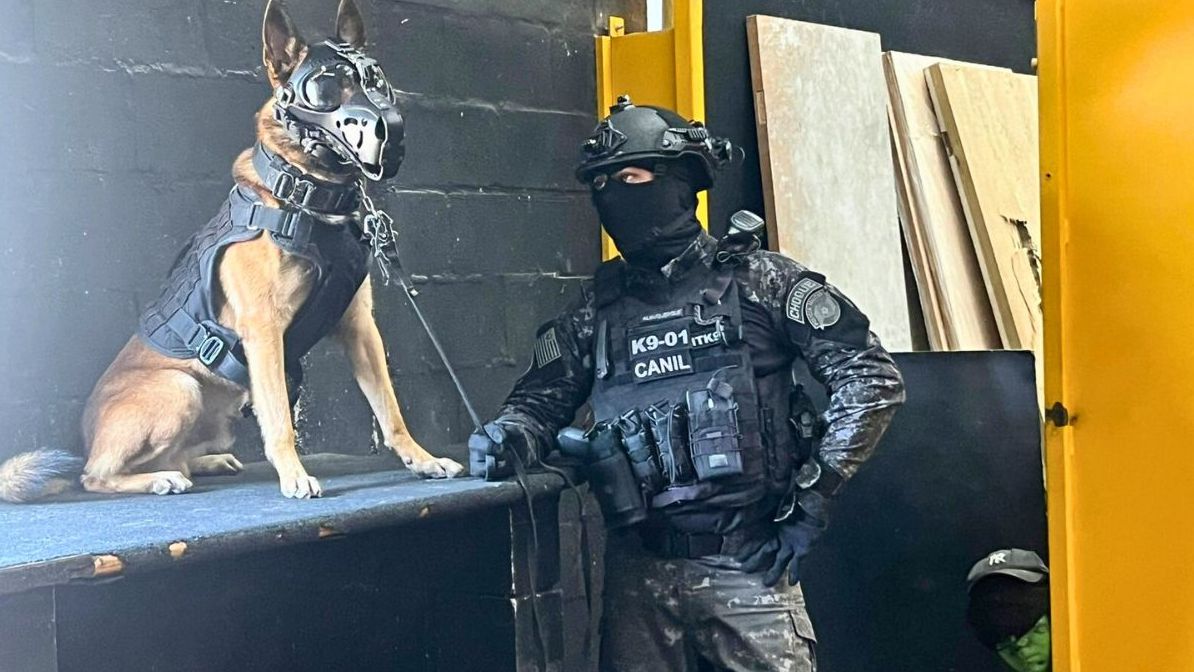 Cão Coyote e tutor