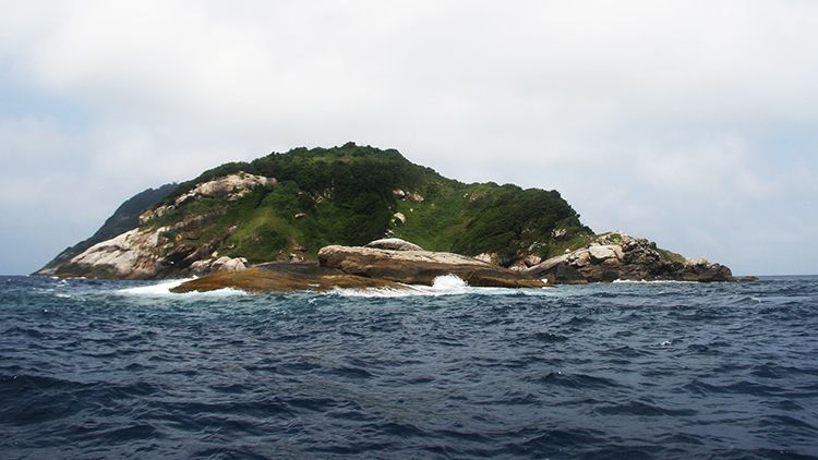 Ilha da Queimada Grande