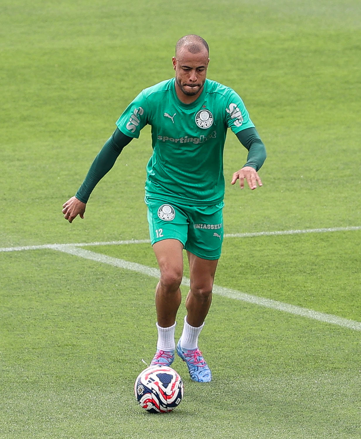 Santos pretende contratar jogador do Palmeiras, símbolo da era Abel Ferreira