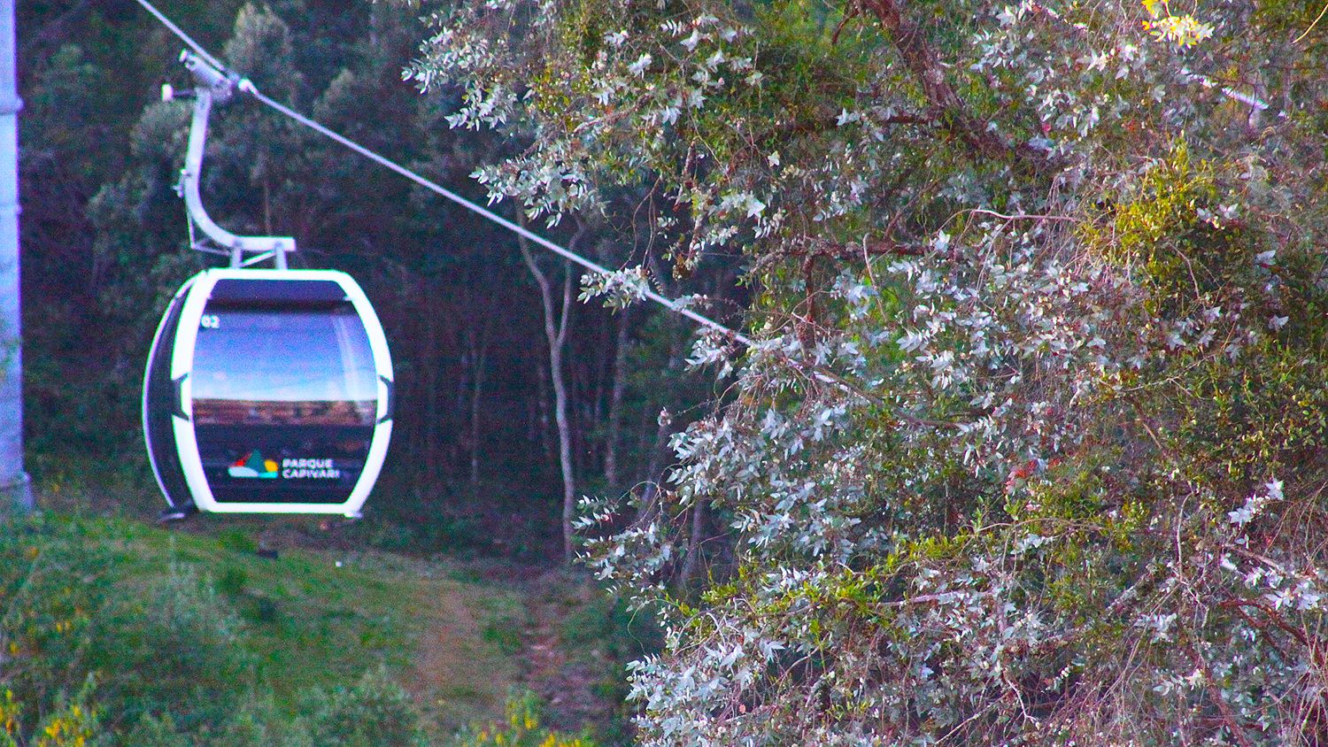 O teleférico de Campos do Jordão é um dos passeios mais disputado - Foto Reginaldo Pupo