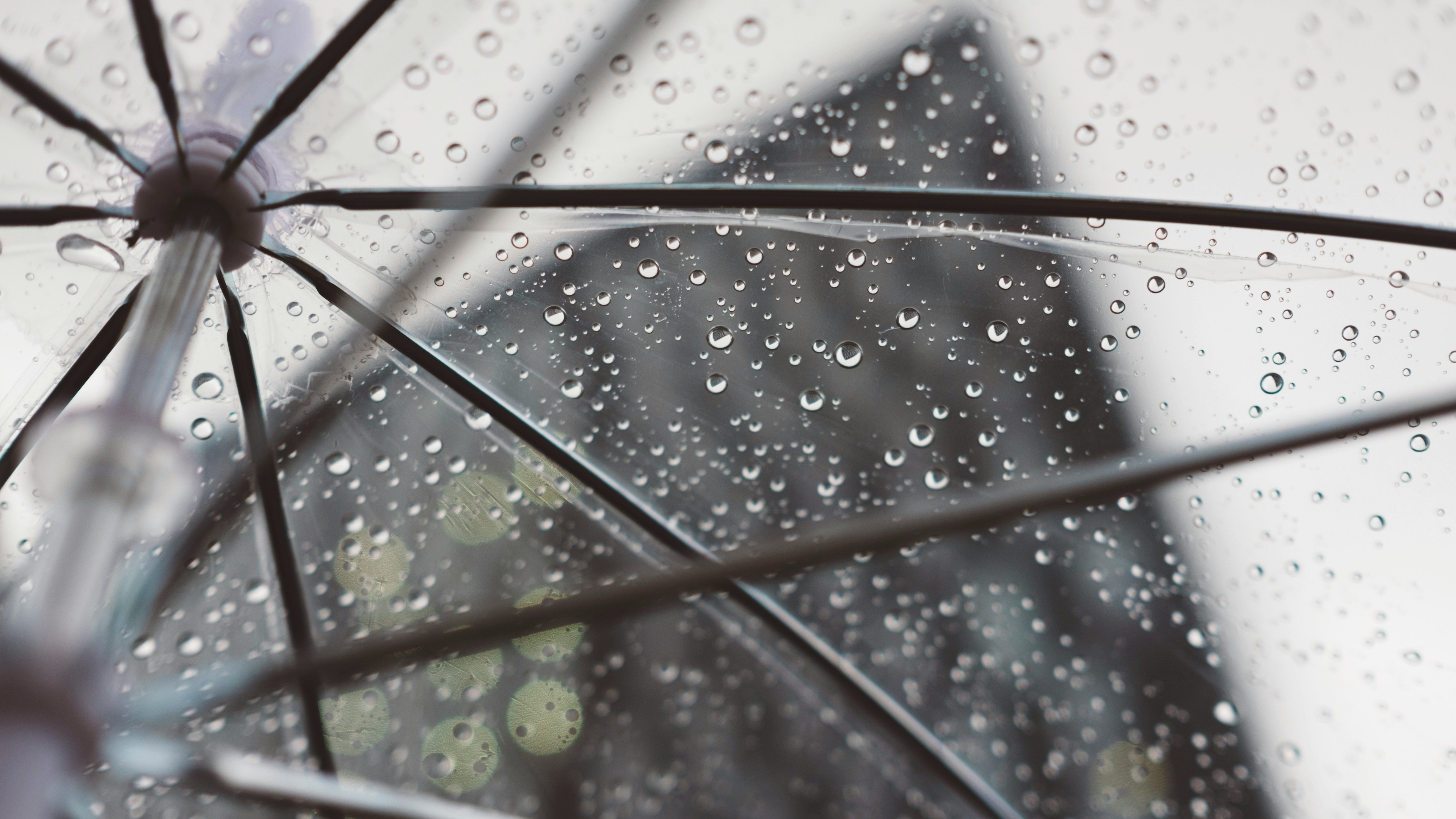 Guarda-chuva