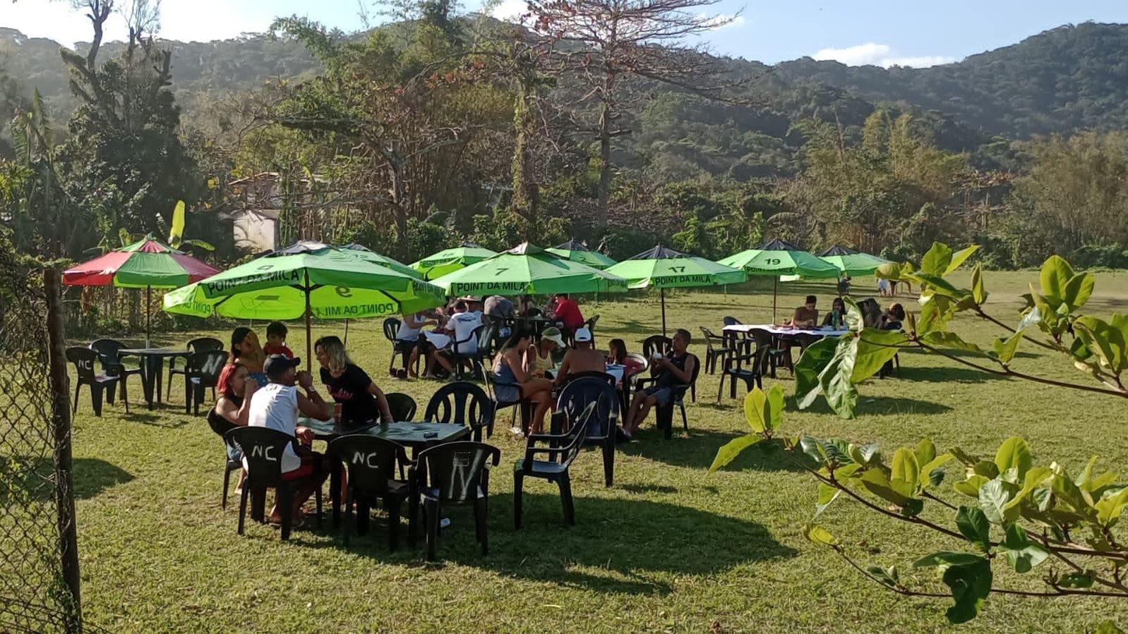 festa da tainha na prainha branca