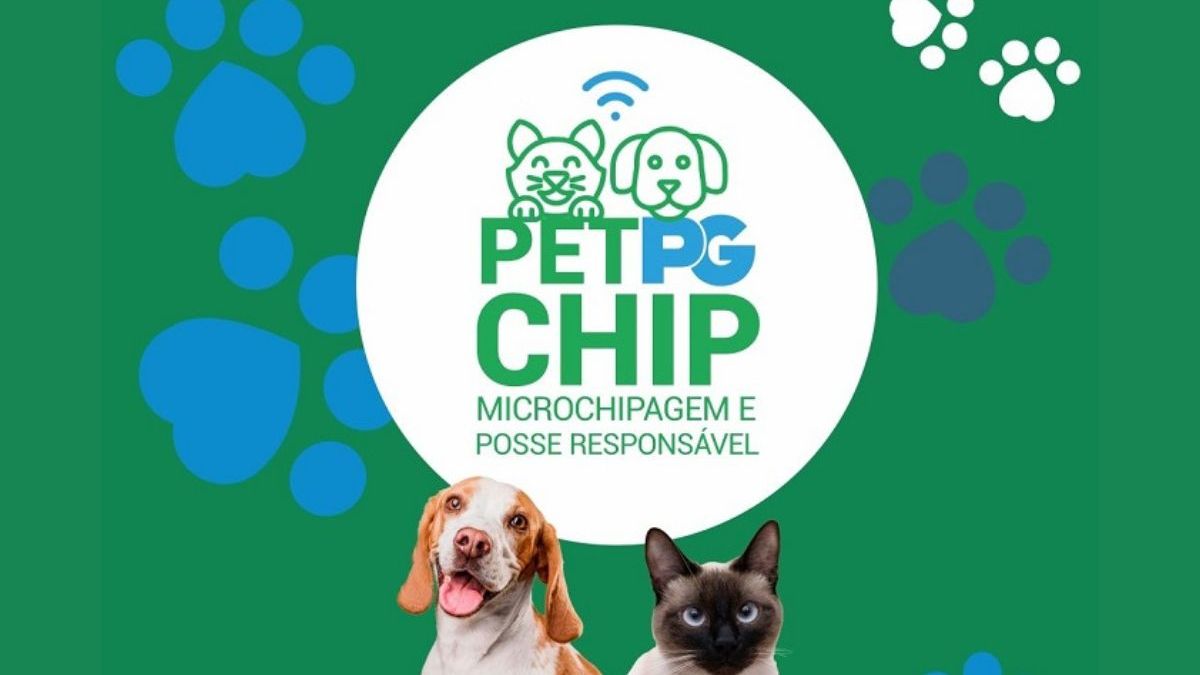 Pet PG Chip