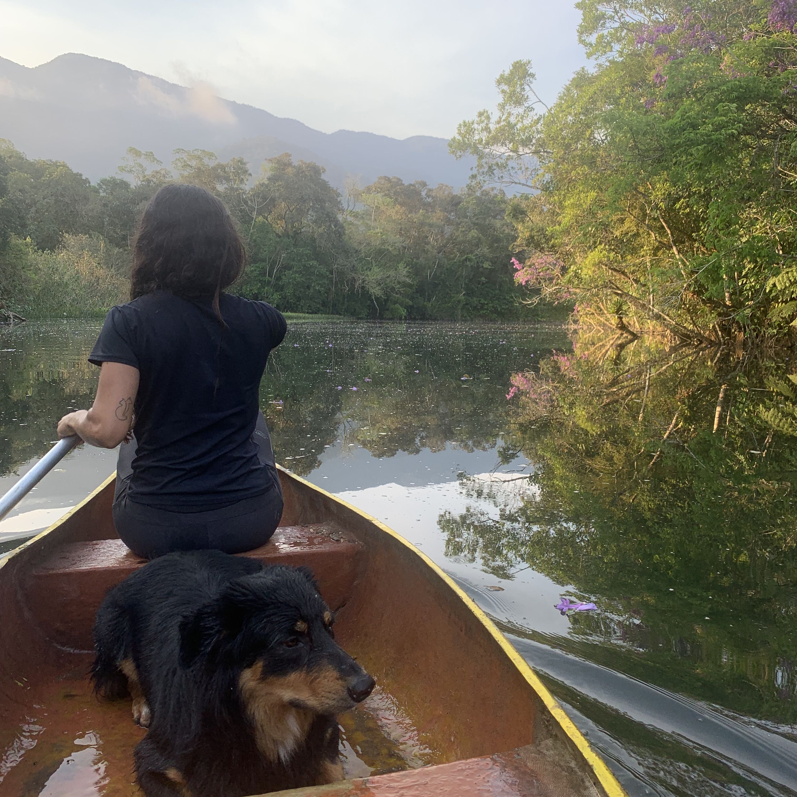 rio jaguareguava