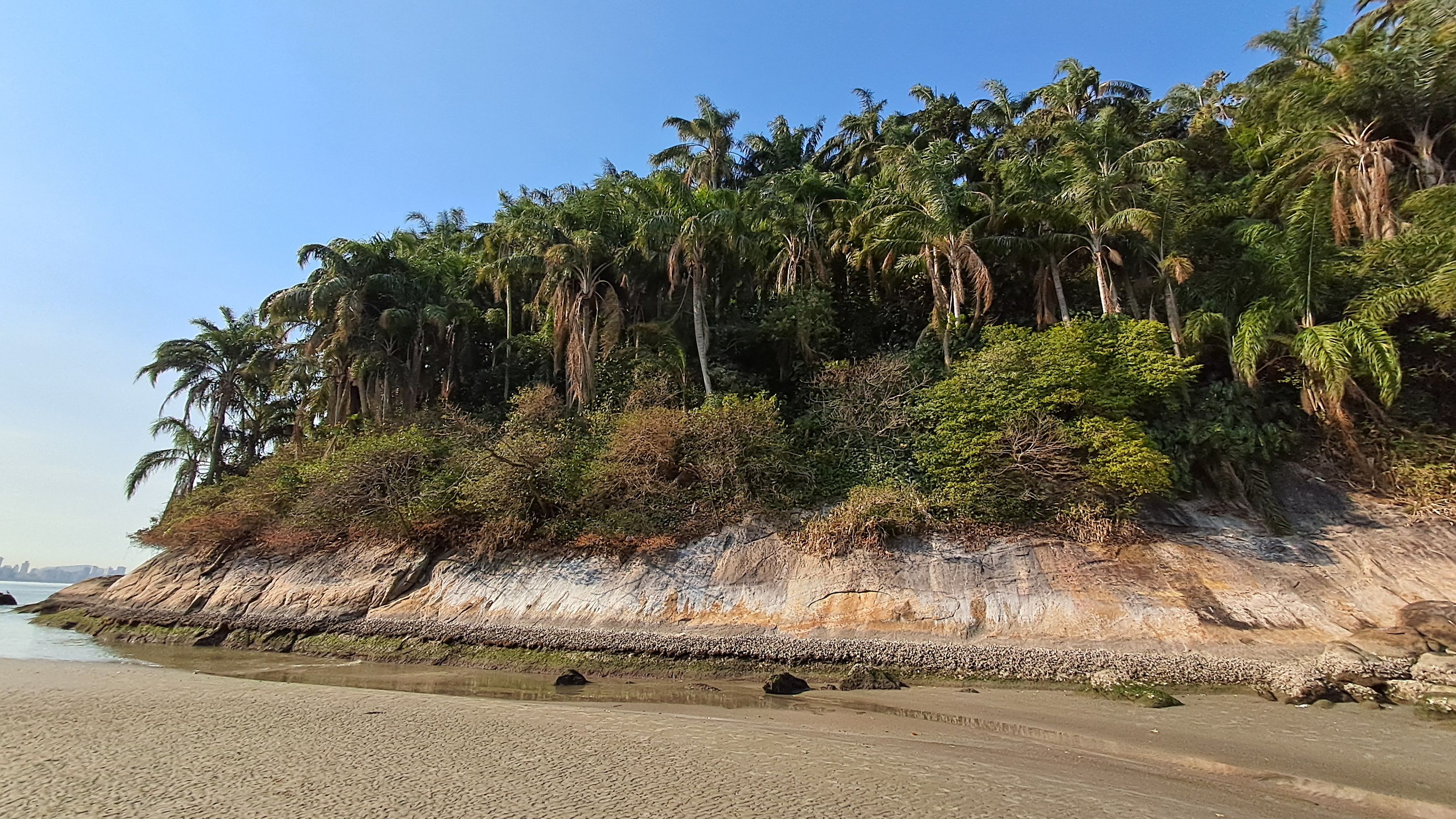 Maré baixa na Ilha de Urubuqueçaba