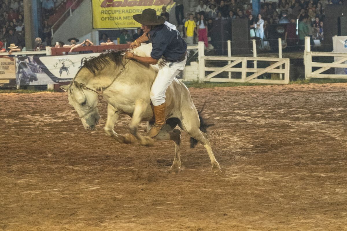 Evento celebra tradições gaúchas, que reúne provas como montaria e laço - Divulgação/Rodeio Crioulo Internacional de Vacaria