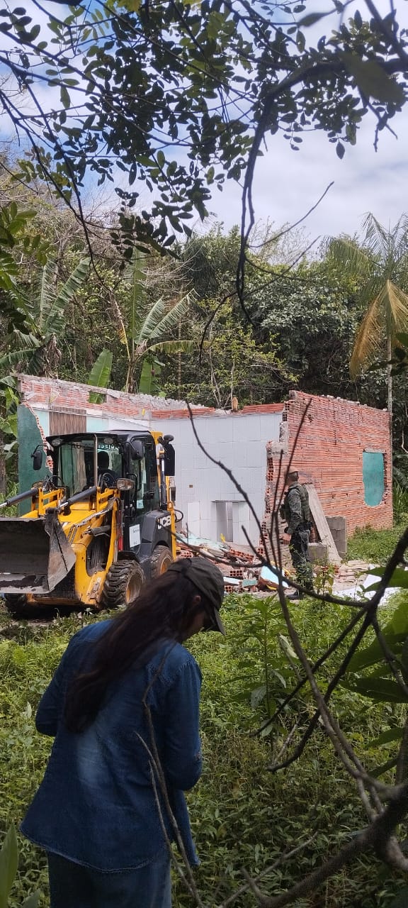 Construções irregulares em manguezal são demolidas com explosivos em Santos