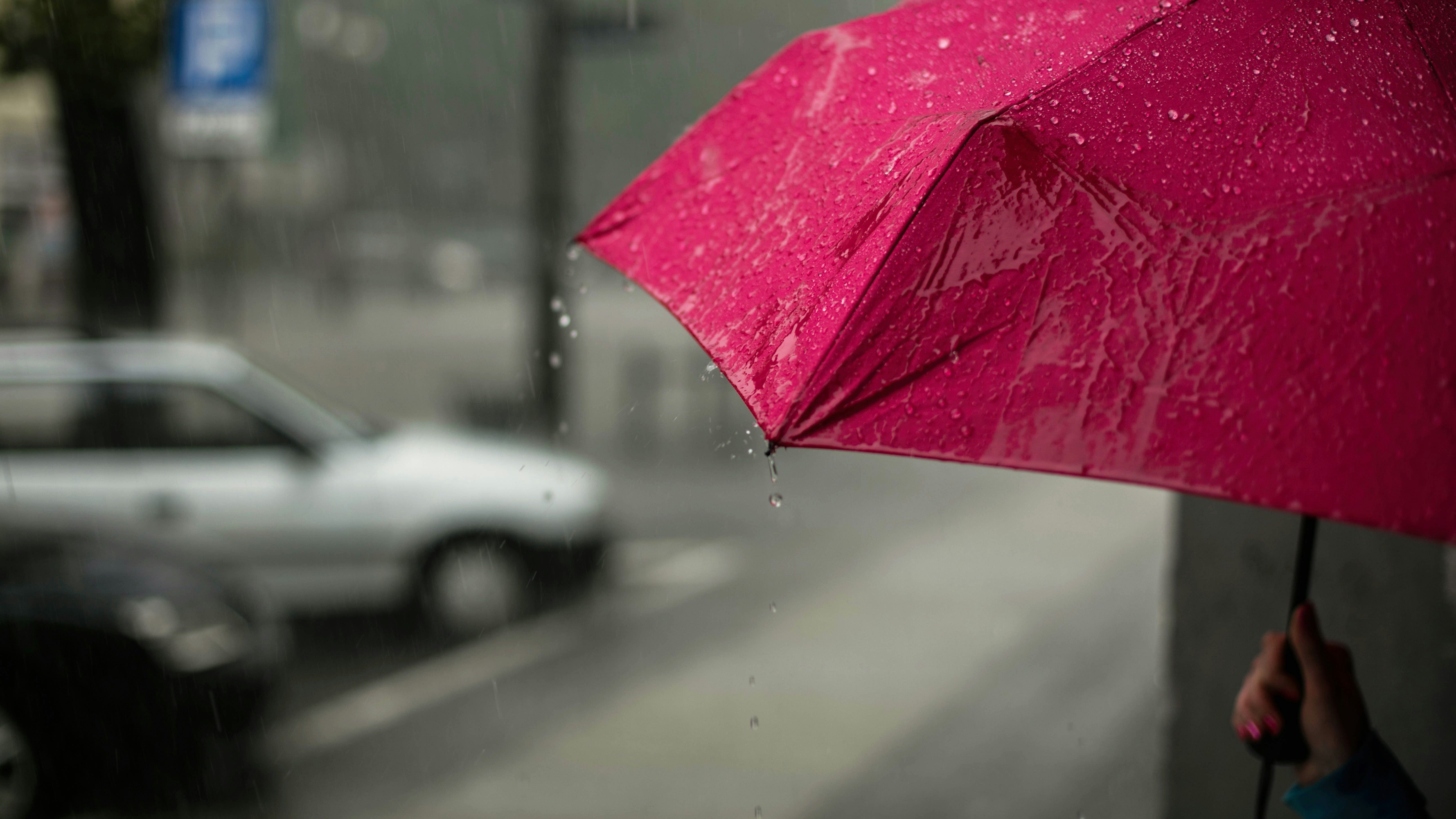 Guarda-chuva