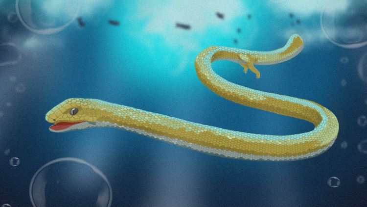 Ilustração serpente