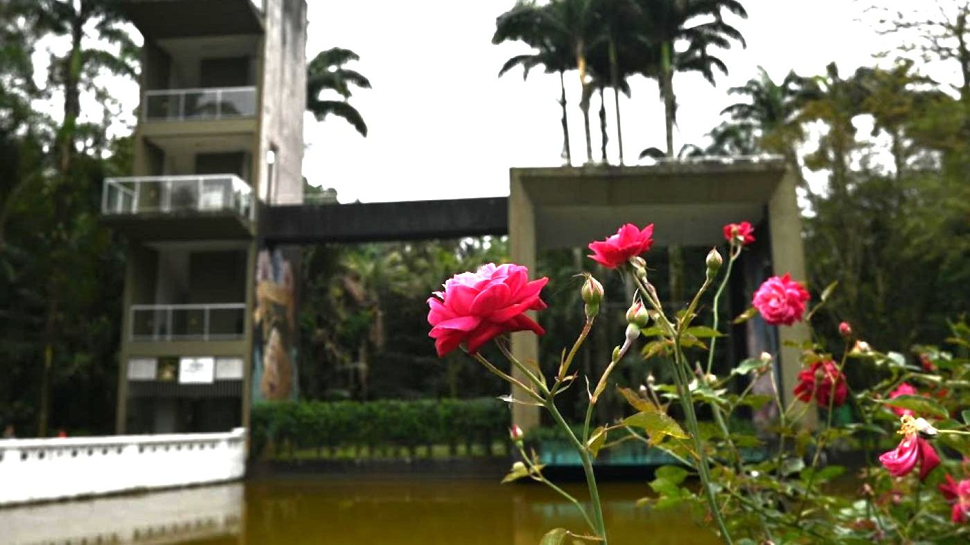 Flor no Jardim Botânico de Santos