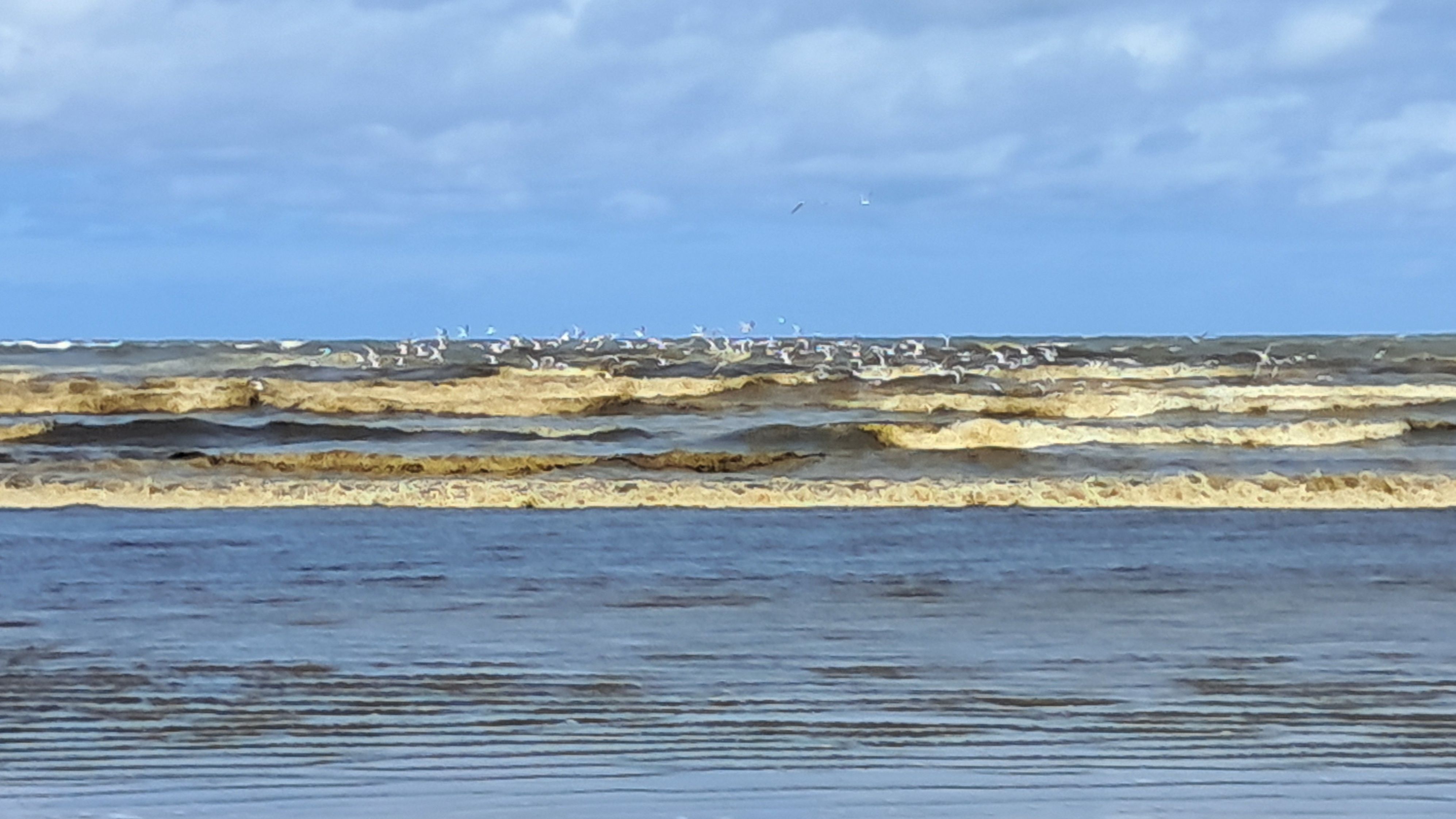 Mar agitado