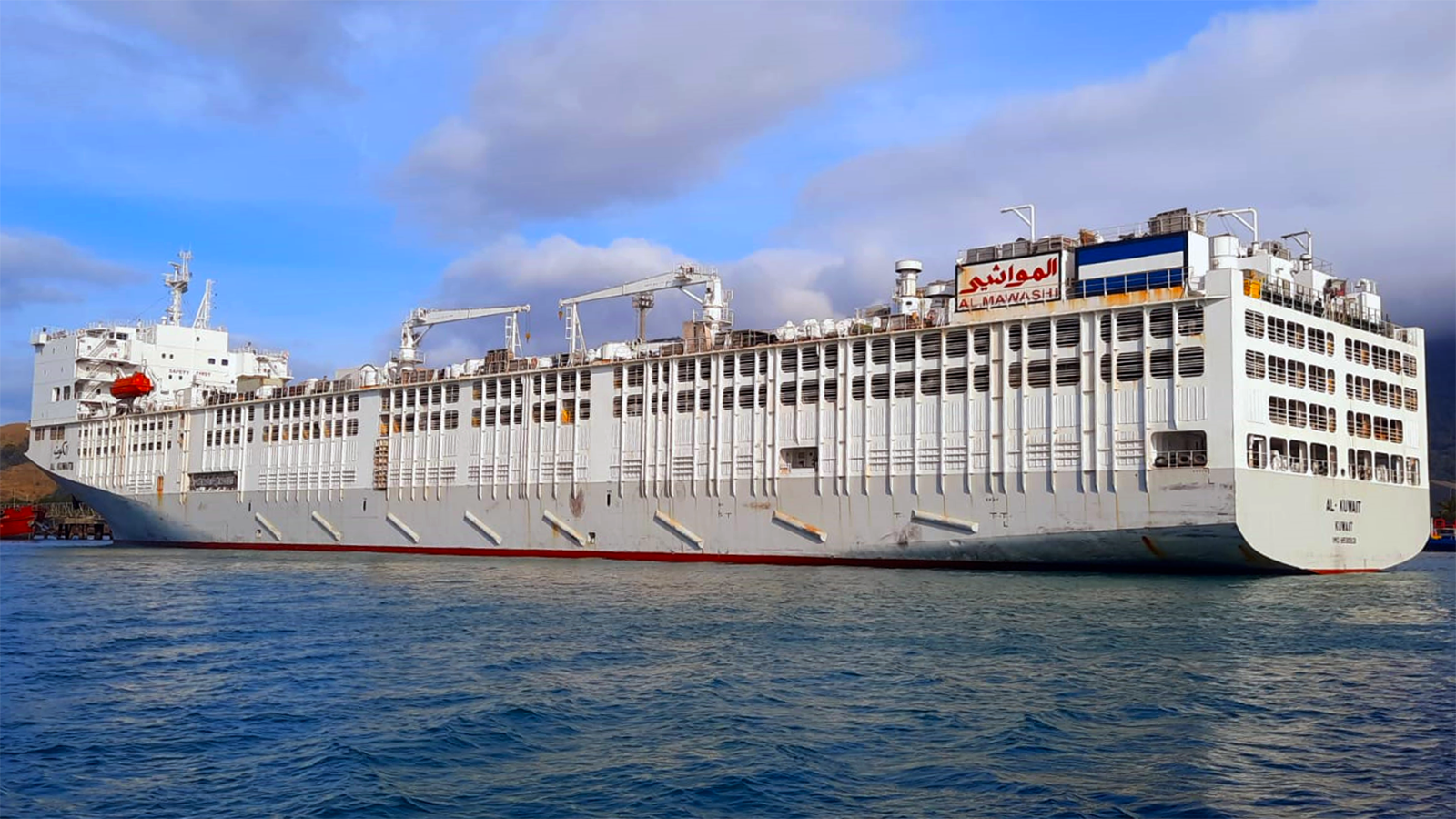 O navio Al-Kuwait, atracado no porto de São Sebastião, que tem capacidade para transportar até 18 mil bois