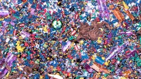 Cientistas investigam como microplásticos podem fragilizar ossos humanos - imagem: Léo Ramos Chaves/Pesquisa Fapesp