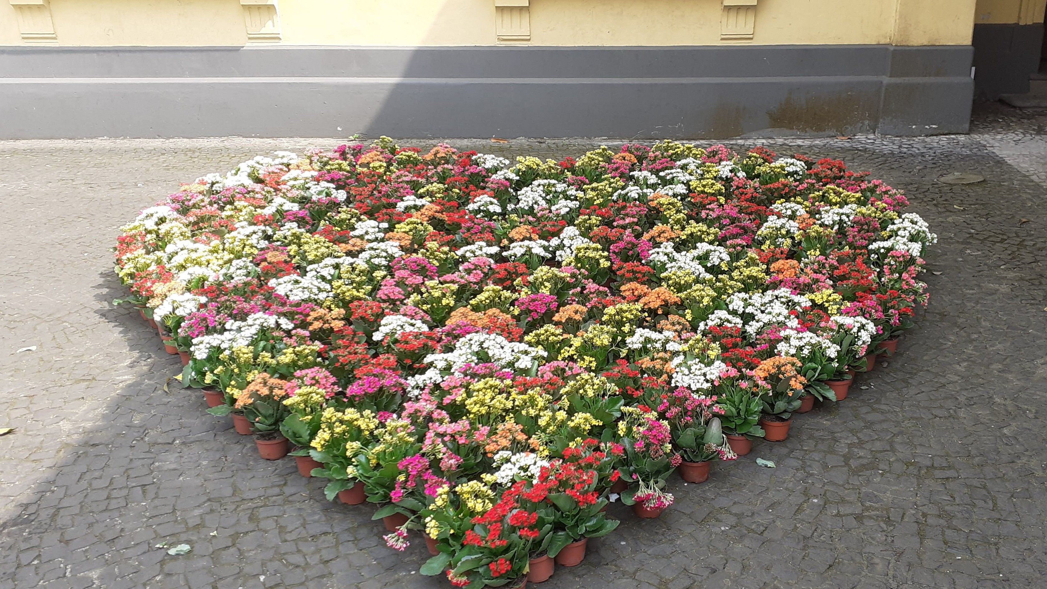 Primavera Criativa de Santos