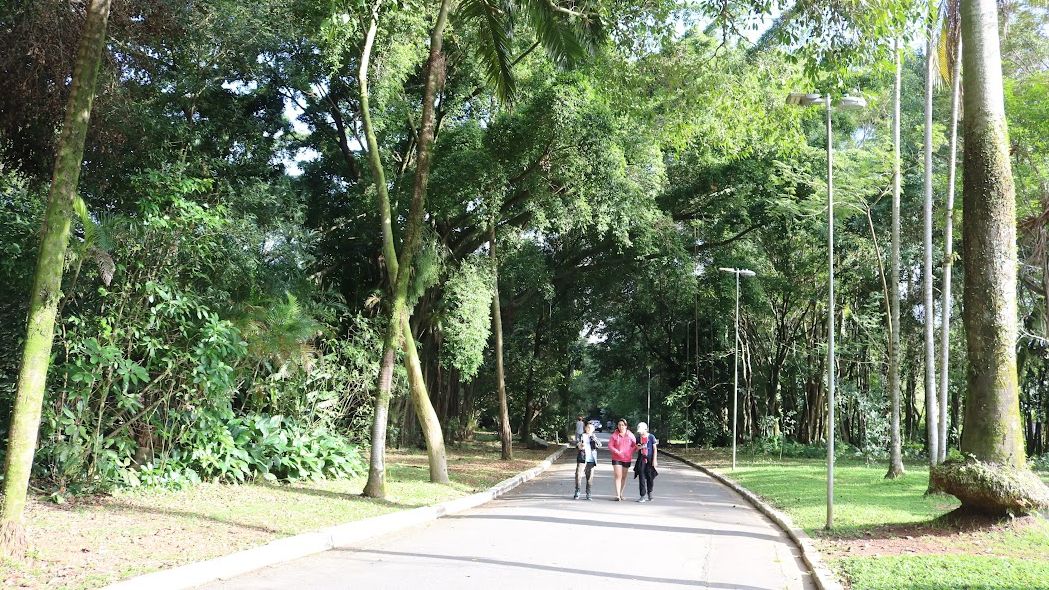 Jardim Botânico de Santos