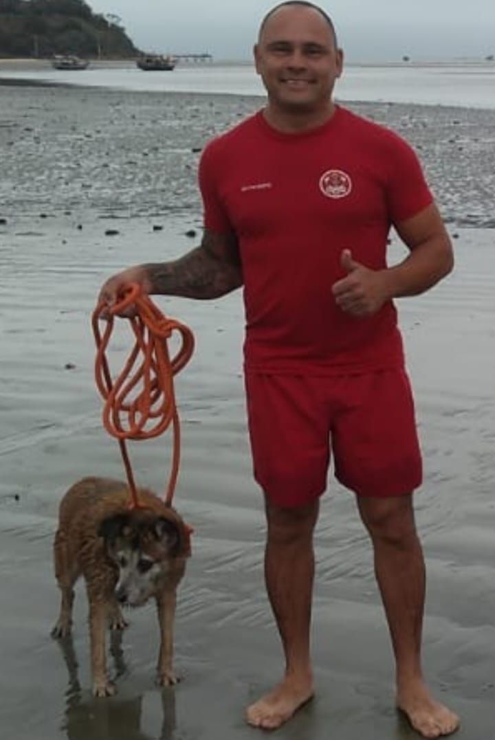 Bombeiros agiram com cuidado e resgataram o cachorro em segurança - Divulgação/11ºGB