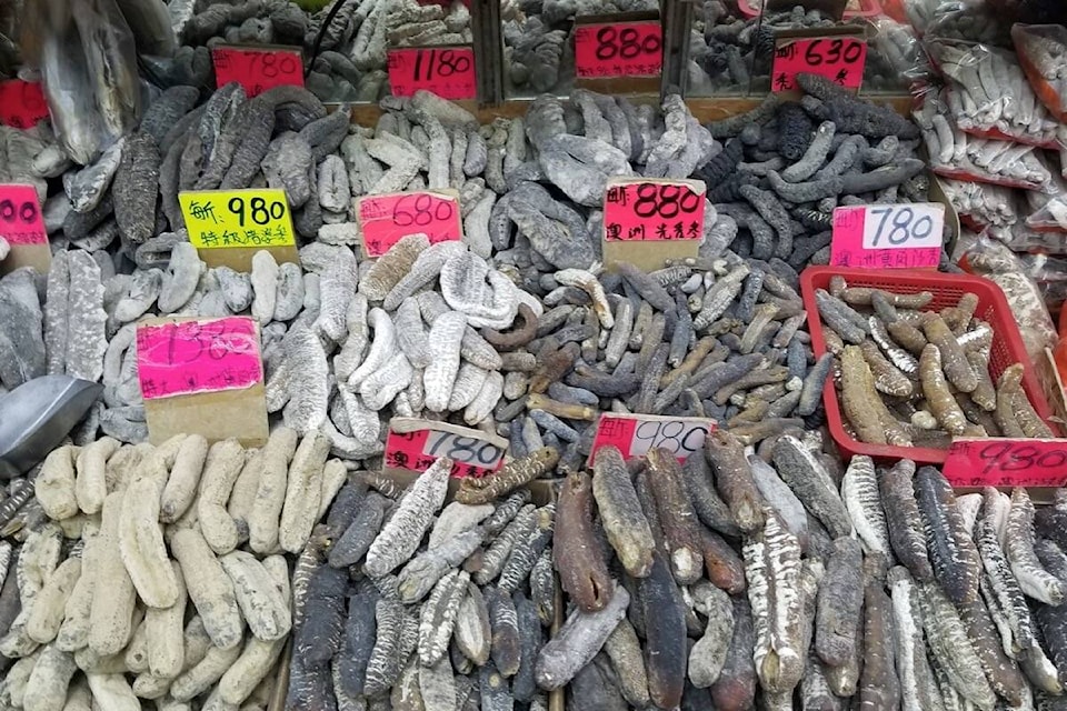 mercado asiático pepino-do-mar