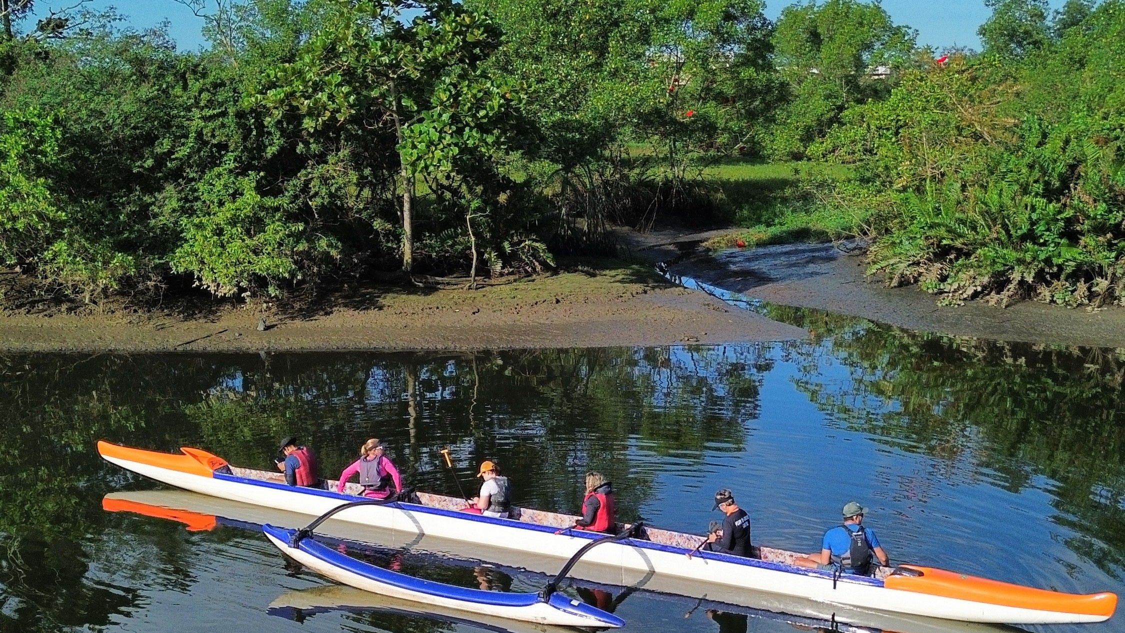 canoa havaiana no mangue de Cubatão