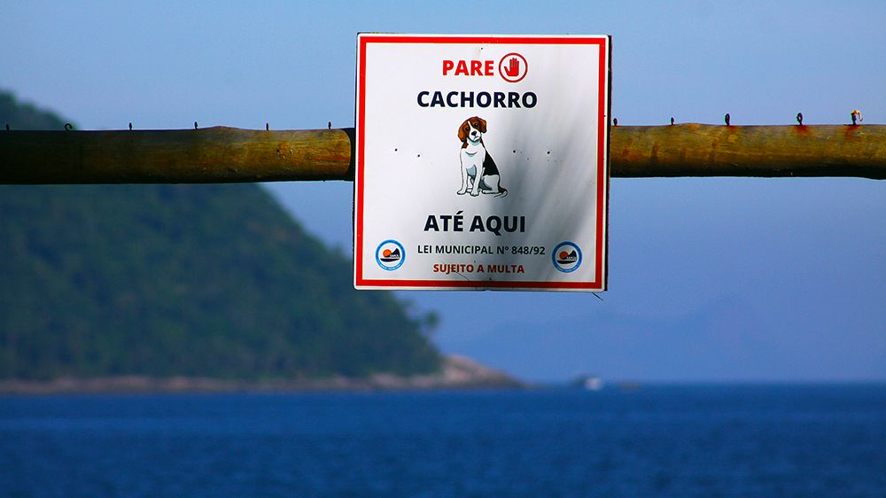 placa proibido cachorro na praia