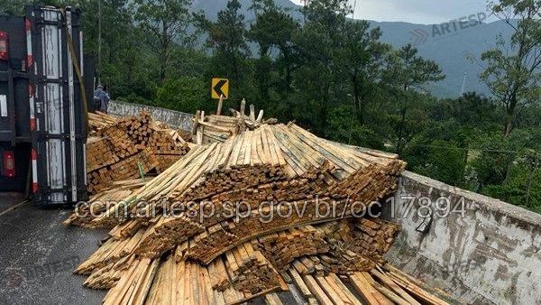 Caminhão carregado de lenha de eucalipto tombou na Cônego Domênico Rangoni - Divulgação/Artesp