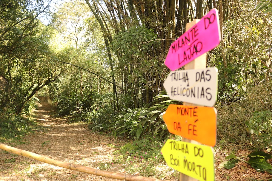 Trilha no Parque dos Morros