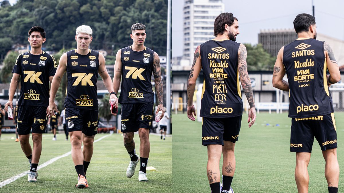 reapresentaçãosantos