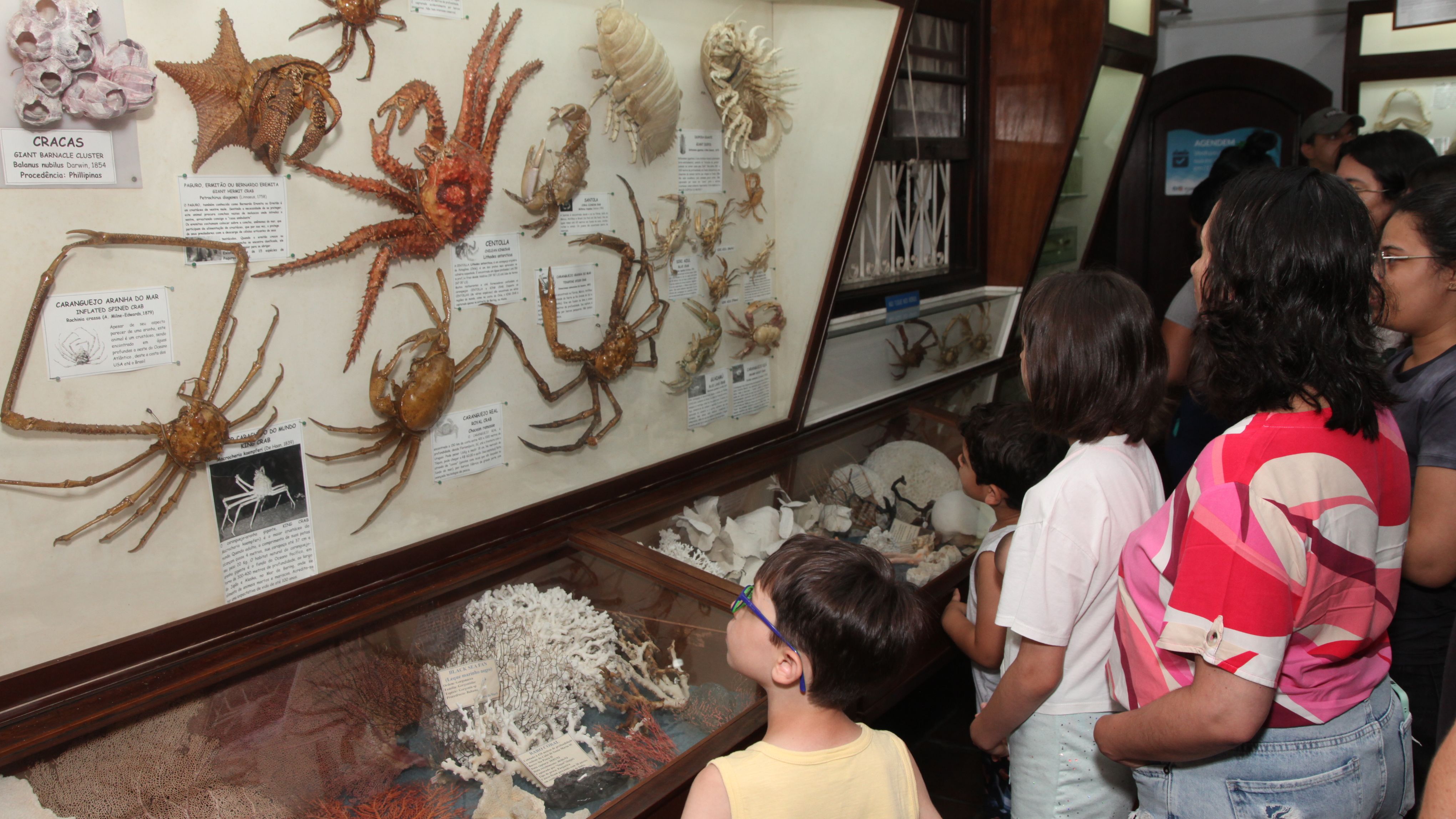 Museu do Mar