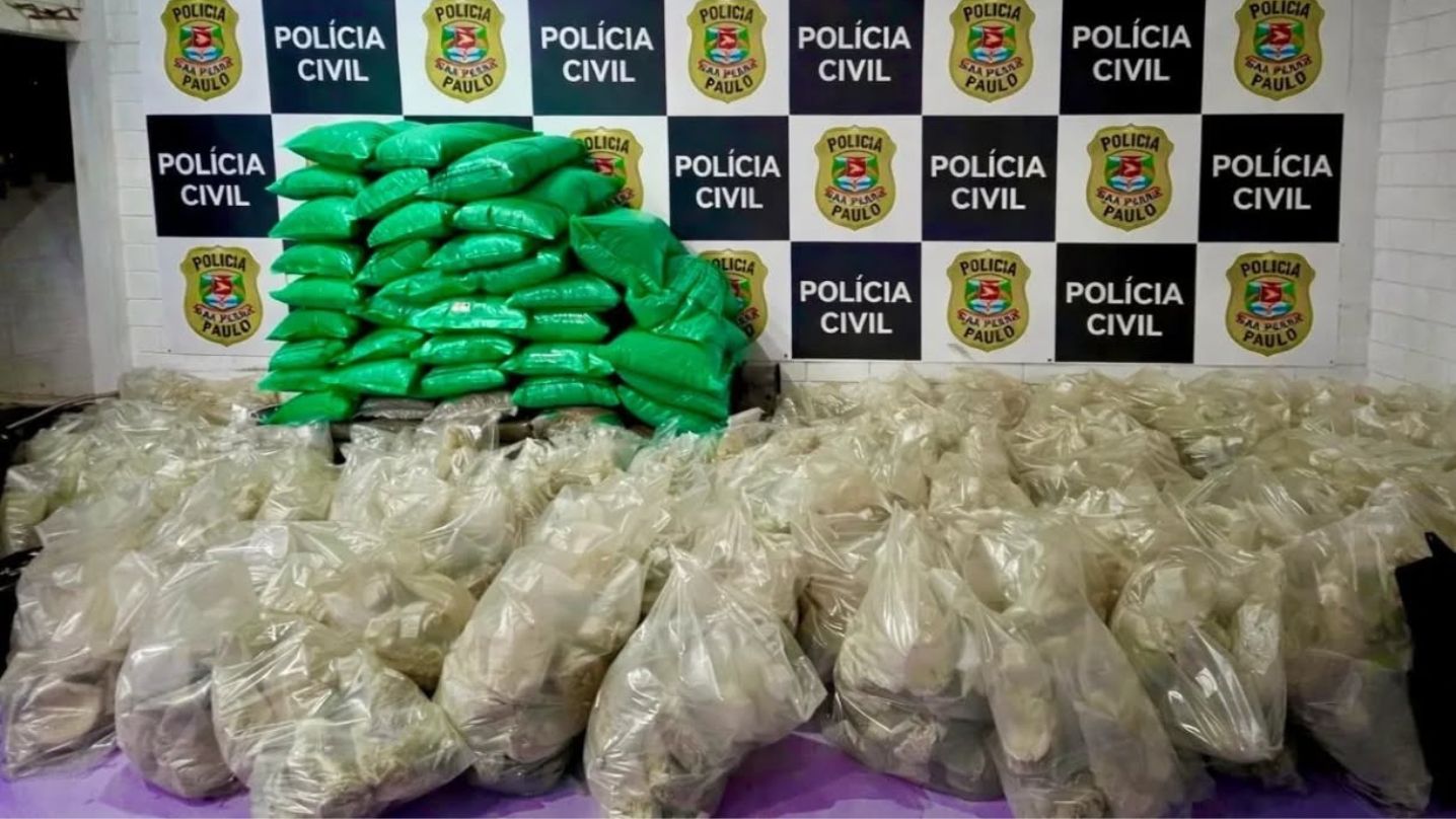 Polícia encontrou 1.100 sacos de cogumelos psilocybe cubensis, total de cerca de 880 quilos - Divulgação/Polícia Civil