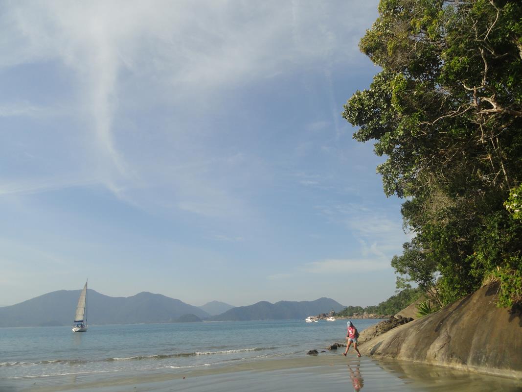 Praia da Fortaleza: águas cristalinas e mergulho entre peixes e tartarugas em Ubatuba