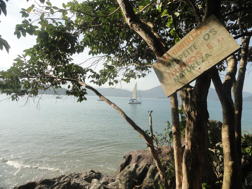 Praia da Fortaleza: águas cristalinas e mergulho entre peixes e tartarugas em Ubatuba