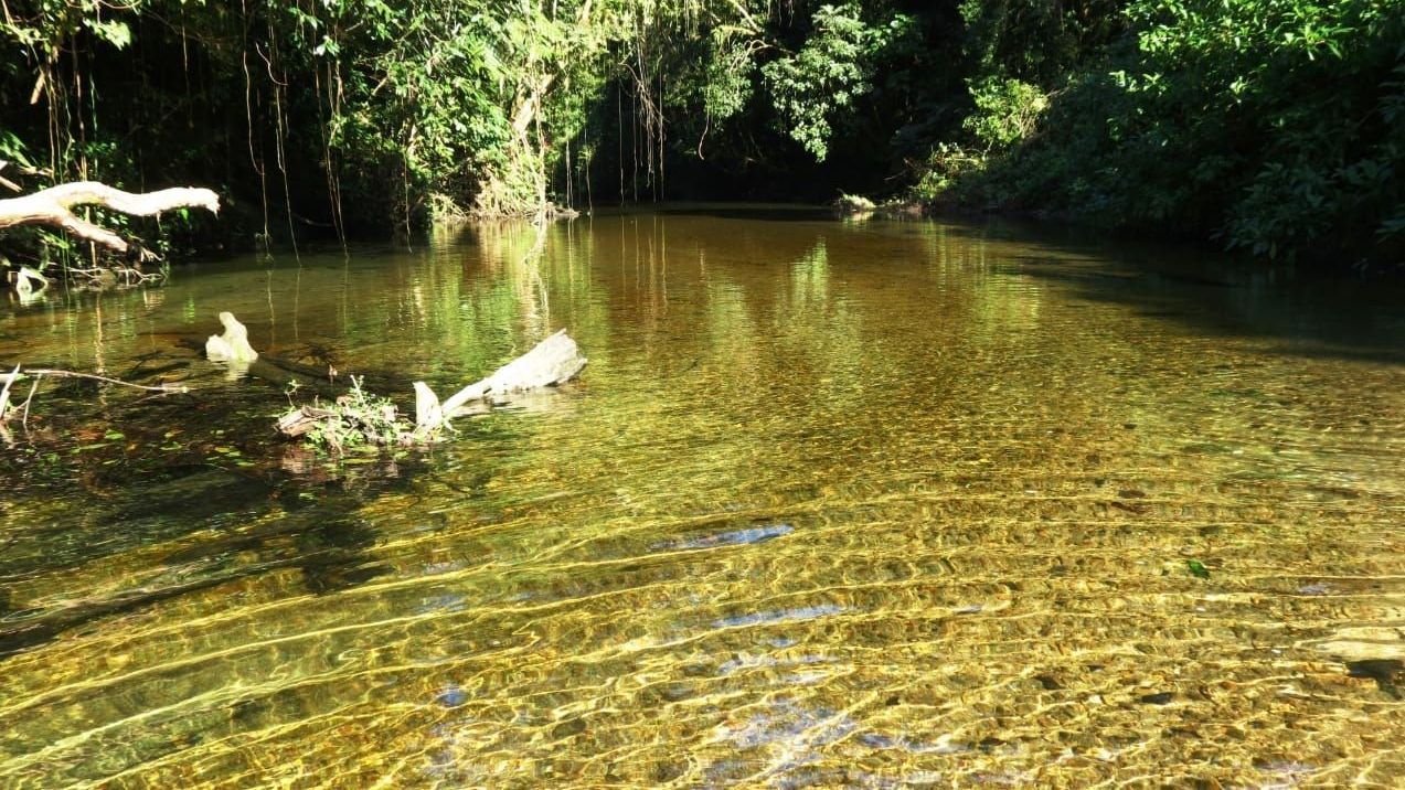 Rio Jaguareguava: um refúgio de águas cristalinas em Bertioga
